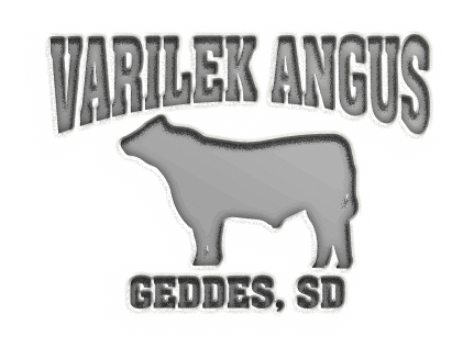 Varilek Angus